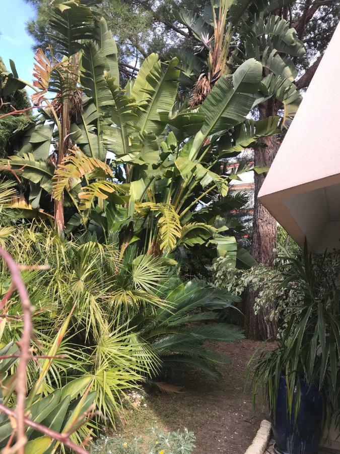 19 Rue Du Parc Alexandre III Apartman Cannes Kültér fotó